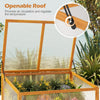 Lucktree Portable Raised Planter Bed Protection with Transparent Flip-top Roof