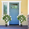 Lucktree Artificial Hydrangea Tree, 2 Pack Fake Floral Plant w/11 White Flowers & Realistic Trunk in Plastic Nursery Pot