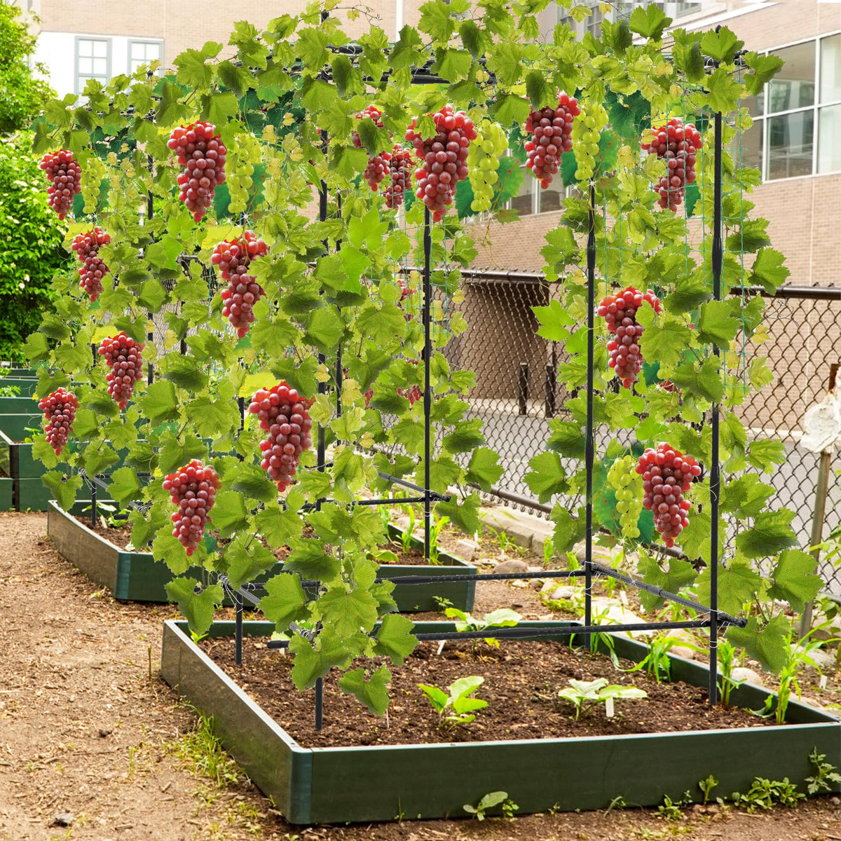 Lucktree Cucumber Trellis, Trellis for Climbing Plants Outdoor