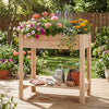 Lucktree Wood Raised Garden Bed w/Lower Shelf