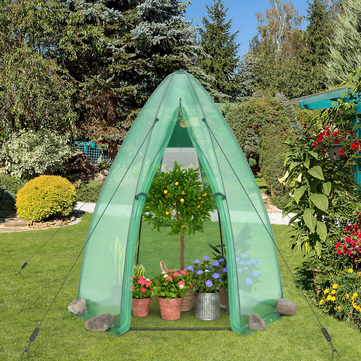 Lucktree Portable Walk-in Greenhouse - 5.5’x5.5’x6’ PE Cover, Roll-up Zippered Door, Window