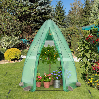 Lucktree Portable Walk-in Greenhouse - 5.5’x5.5’x6’ PE Cover, Roll-up Zippered Door, Window