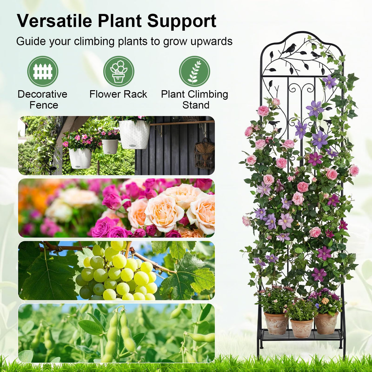 Lucktree Metal Garden Trellis for Climbing Plants