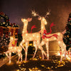 Lucktree 3-Piece Large Lighted Christmas Reindeer Family, Light up Xmas Decorations w/440 LED Lights