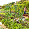 Garden Arch Trellis for Climbing Plants - Lucktree