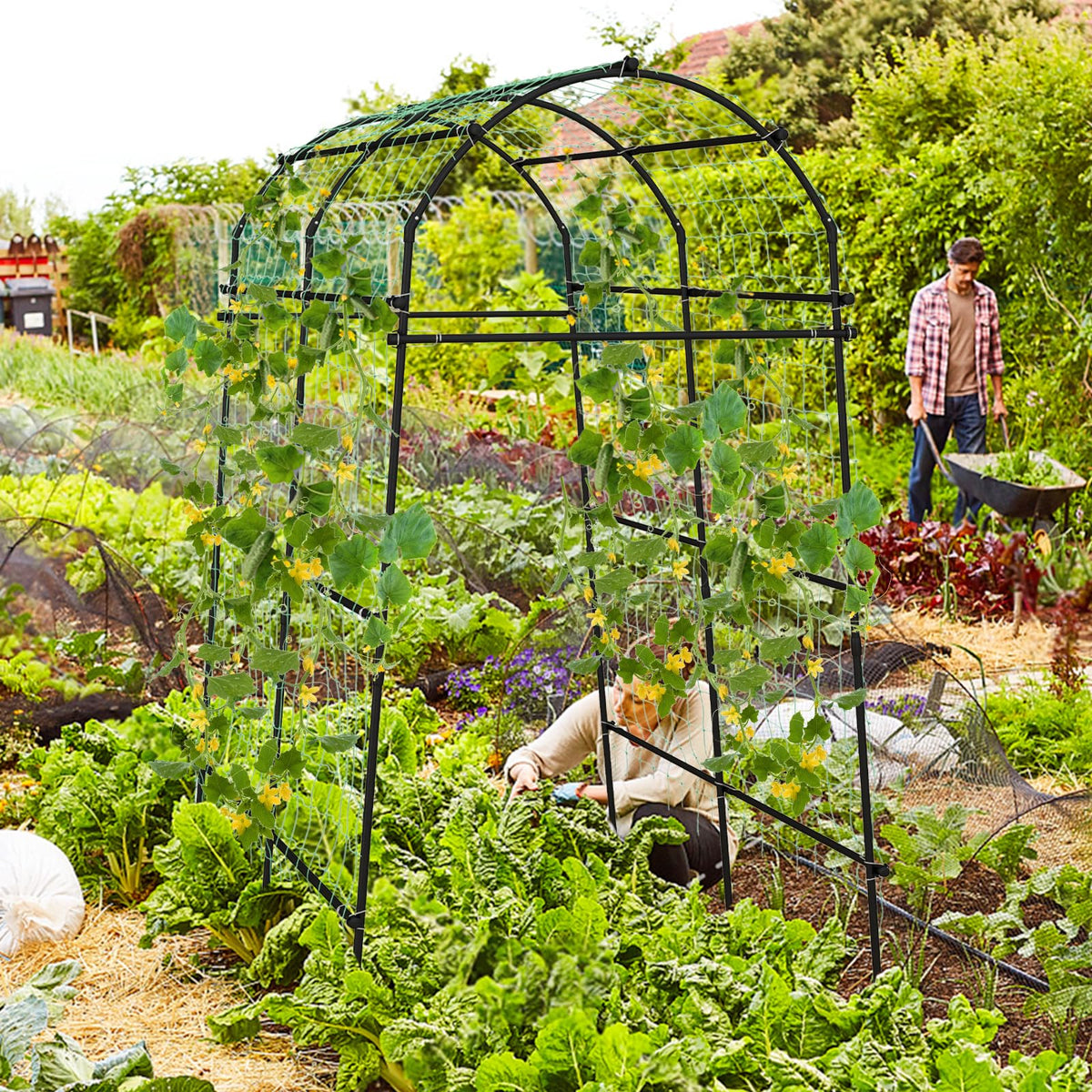 Garden Arch Trellis for Climbing Plants - Lucktree