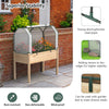 Lucktree Raised Garden Bed