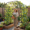 Lucktree Metal Garden Arch Trellis for Climbing Plants Outdoor