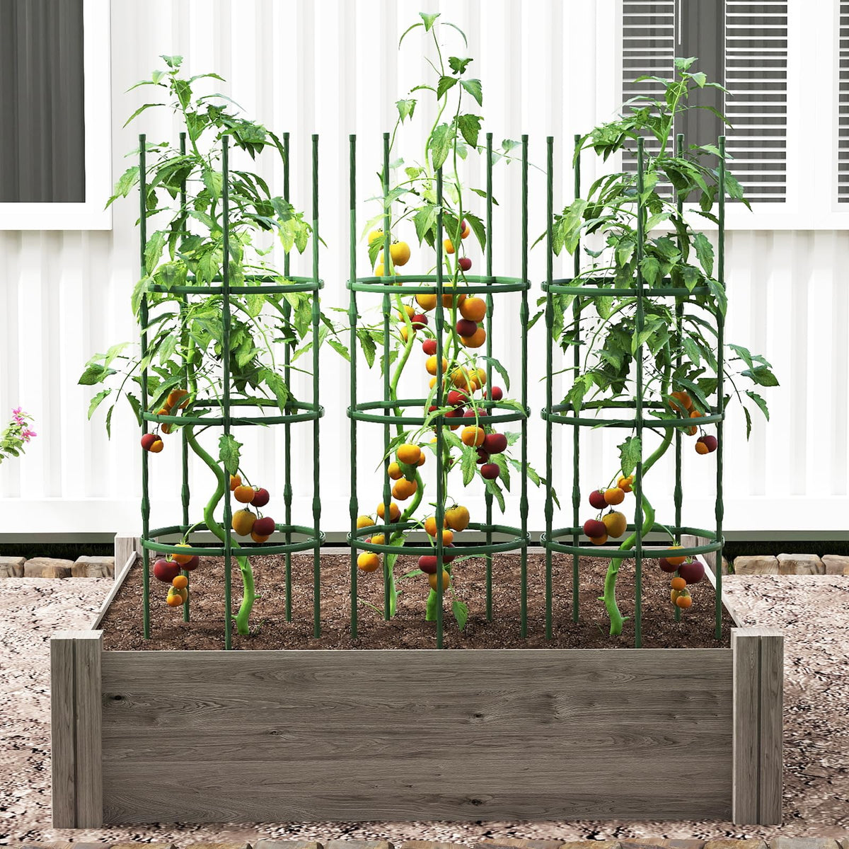 Lucktree 2 in 1 Round Trellis for Climbing Flower Vegetable Fruit