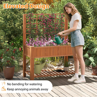 Lucktree Raised Garden Bed with Trellis