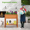 Lucktree Raised Garden Beds Outdoor
