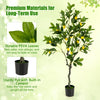 Lucktree Artificial Lemon Tree