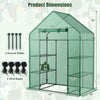 Greenhouse Outdoor Mini Walk-in Plant Green house for Plants