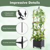Lucktree Raised Garden Bed with Tomato Cages, Obelisk & Bird Top