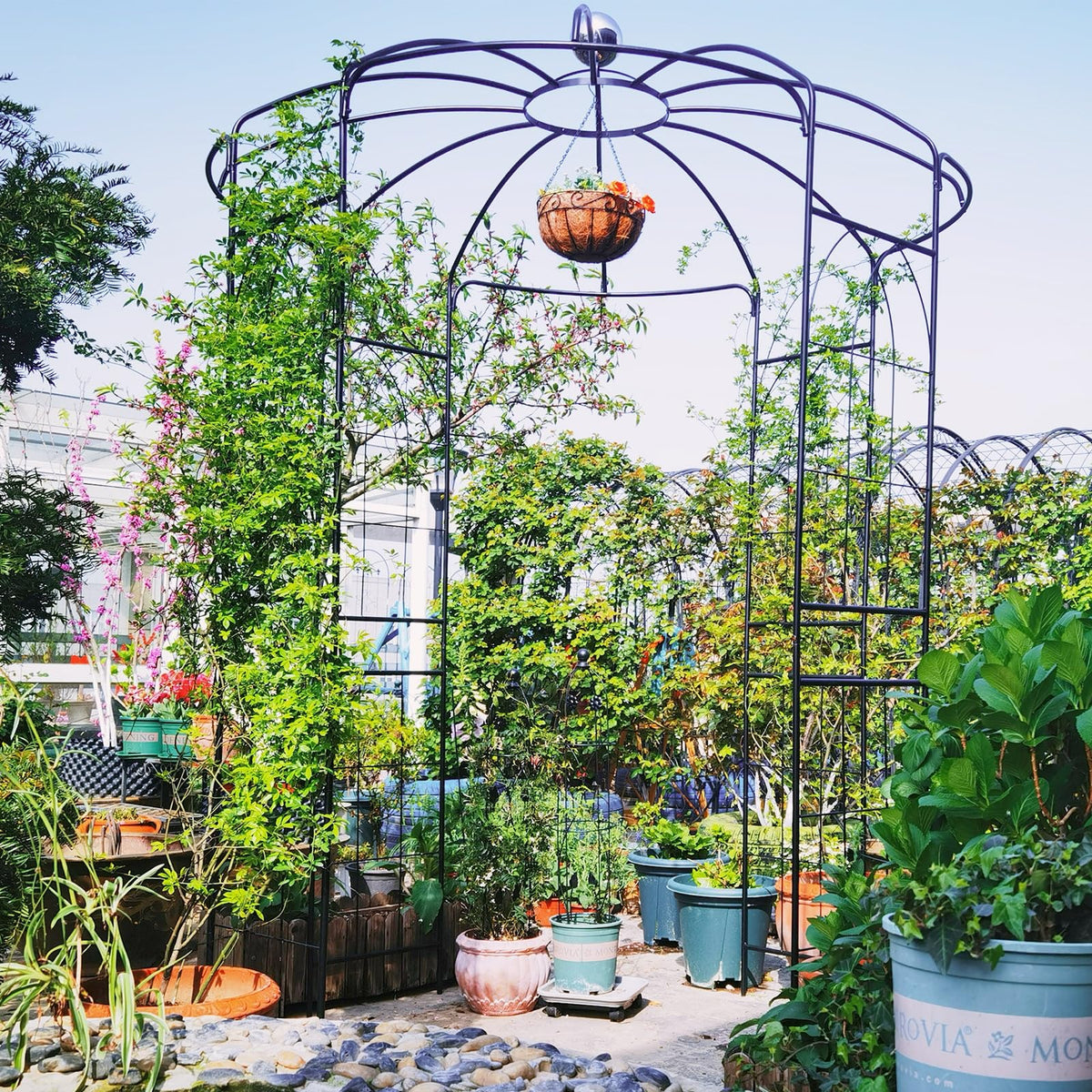 Lucktree Birdcage Shape Gazebo - 9.4' H x 6.8' W Metal Arch Trellis for Climbing Plants Clematis Vines