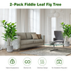 Lucktree Fake Fiddle Leaf Fig Tree, 2-Pack 51'' Tall Artificial Tree Greenery Plants in Pots W/100 Leaves - LucktreeUS