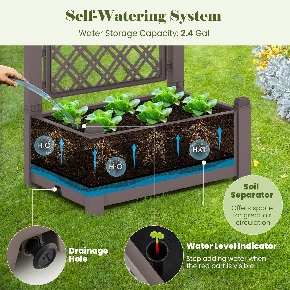 Lucktree Raised Garden Bed with Trellis 59”, Self-Watering Planter Box with Water Level Indicator & Removable Space Dividers