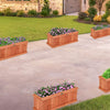 Lucktree Raised Garden Bed Set of 2 for Flower Vegetable Herbs