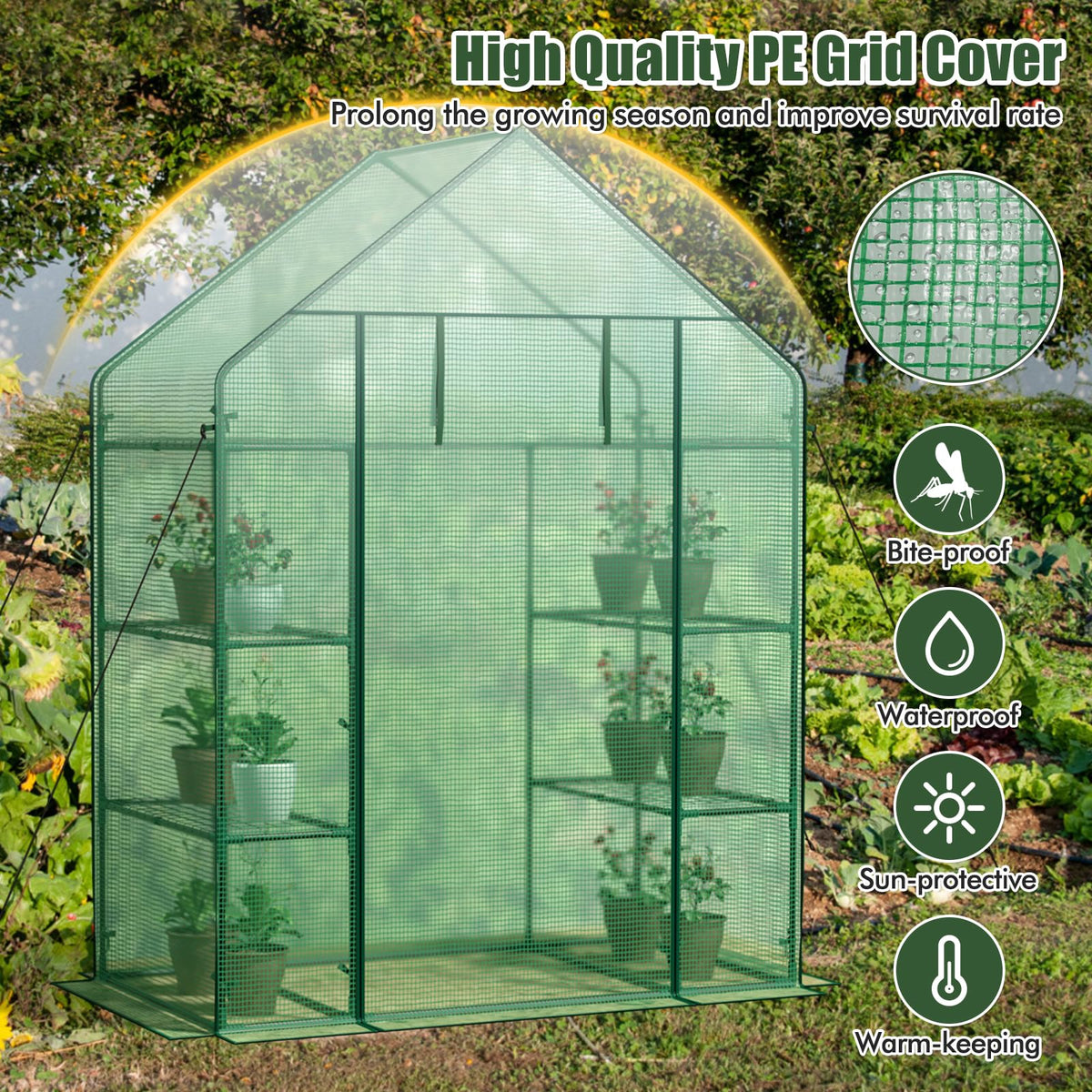 Greenhouse Outdoor Mini Walk-in Plant Green house for Plants
