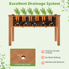 49" L x 23 W x 30 H Elevated Wood Planter Box with Protective Liner and Drain Hole