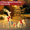 Lucktree 3 Pieces Lighted Christmas Reindeer Family Set