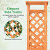 31" x 12.5" x 60" Raised Garden Bed with 2-Sided Trellis & Hanging Roof