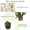 Lucktree 47” Faux Plum Blossom Plant with White Fabric Flower