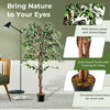 Lucktree Artificial Ficus Tree