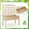Lucktree Raised Garden Bed with Trellis