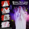 Lucktree Halloween Animatronic Skeleton Bride / Groom