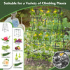 Lucktree Cucumber Trellis, Trellis for Climbing Plants Outdoor