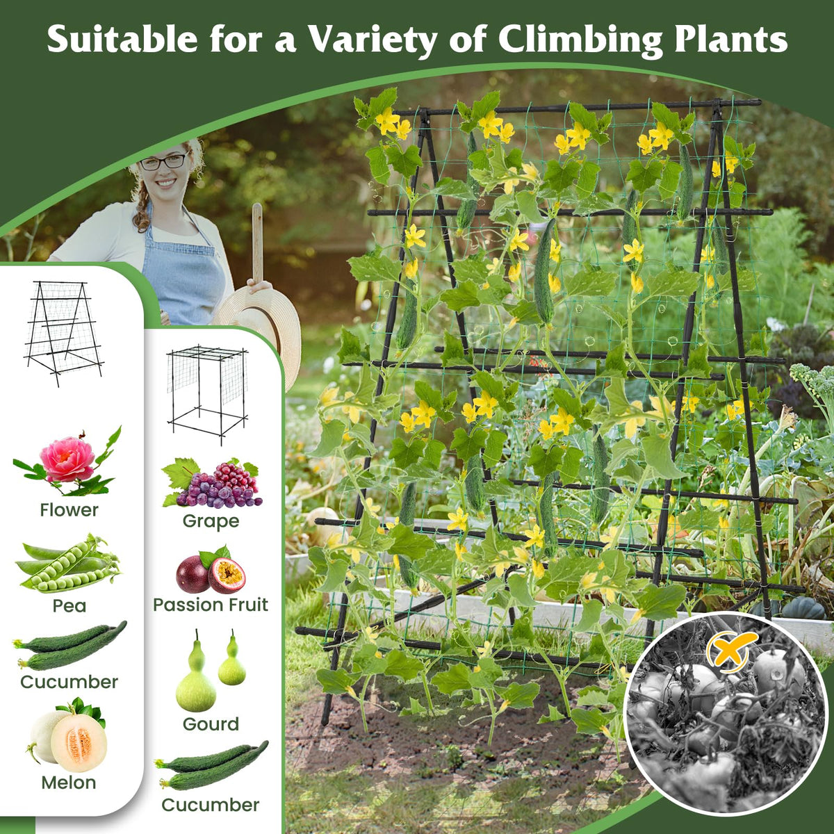 Lucktree Cucumber Trellis, Trellis for Climbing Plants Outdoor