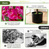 Lucktree 2 Pack Artificial Azalea Trees with Vivid Blooming Flowers for Indoor Outdoor Decor