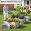 Lucktree 4 x 2 x 2 FT Galvanized Raised Garden Bed (1/2)