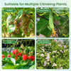 Garden Arch Trellis for Climbing Plants - Lucktree