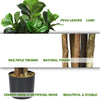 Fake Fiddle Leaf Fig Tree Artificial Greenery Plants in Pots Decorative Trees (5ft)