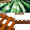 Lucktree 3 Tier Folding Storage Shelf, Bamboo Ladder Plant Stand