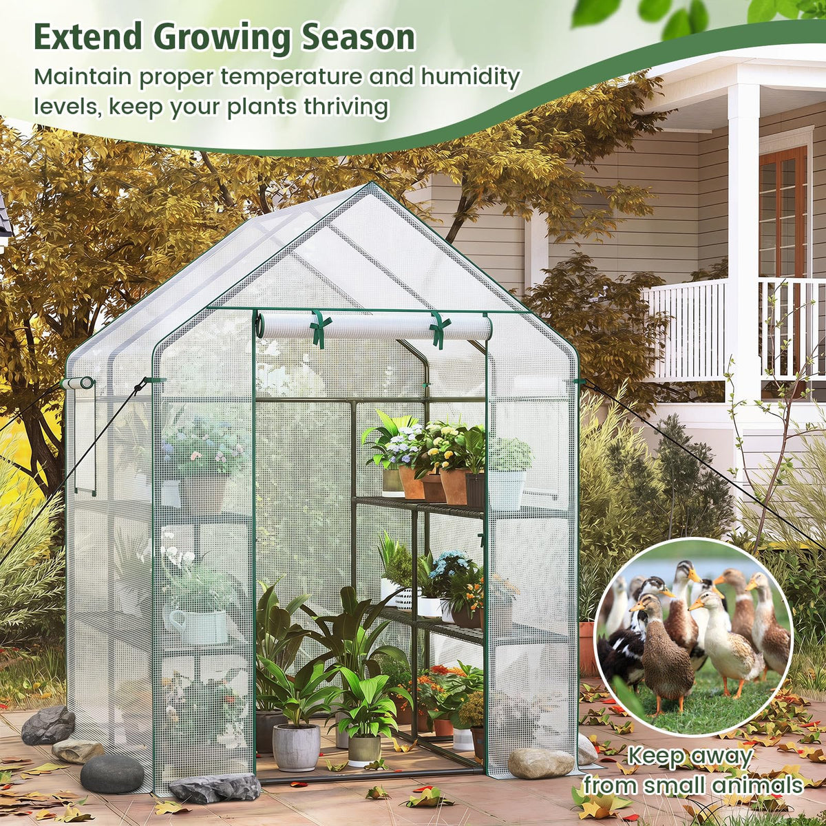 Lucktree 57”L x 57”W x 77”H Walk-in Greenhouse for Outdoors