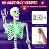 Lucktree 63" Life-Size Posable Skeleton with Green LED Lights Halloween Lighted Skeleton Decoration
