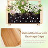 Lucktree Raised Garden Bed with Trellis (1/2)