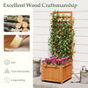 Lucktree Wood Raised Garden Bed with Trellis