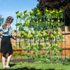 Lucktree Garden Arched Trellis for Climbing Plants, 71” x 71” U-Shaped Tall Cucumber Trellis for Raised Garden Bed