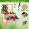Lucktree 2-Tier Raised Garden Bed with Trellis for Climbing Plants