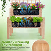 Lucktree 2-Tier Raised Garden Bed with Trellis for Climbing Plants
