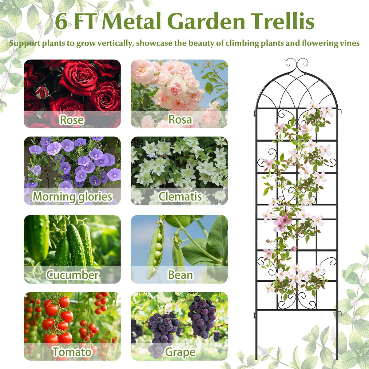 Lucktree 2/4 Packs 71"x20"/86"x20" Metal Garden Trellis for Outdoor Climbing Plants