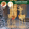 Lucktree 2 Pieces Lighted Christmas Reindeer Family Set with 230 LED Lights