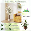 Lucktree 47” Faux Plum Blossom Plant with White Fabric Flower