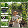 Lucktree Metal Garden Arch Trellis for Climbing Plants Outdoor