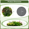 Lucktree 2 Pack Hanging Artificial Plants Panels, 20" Round Framed 3D Greenery Wall Art Decor