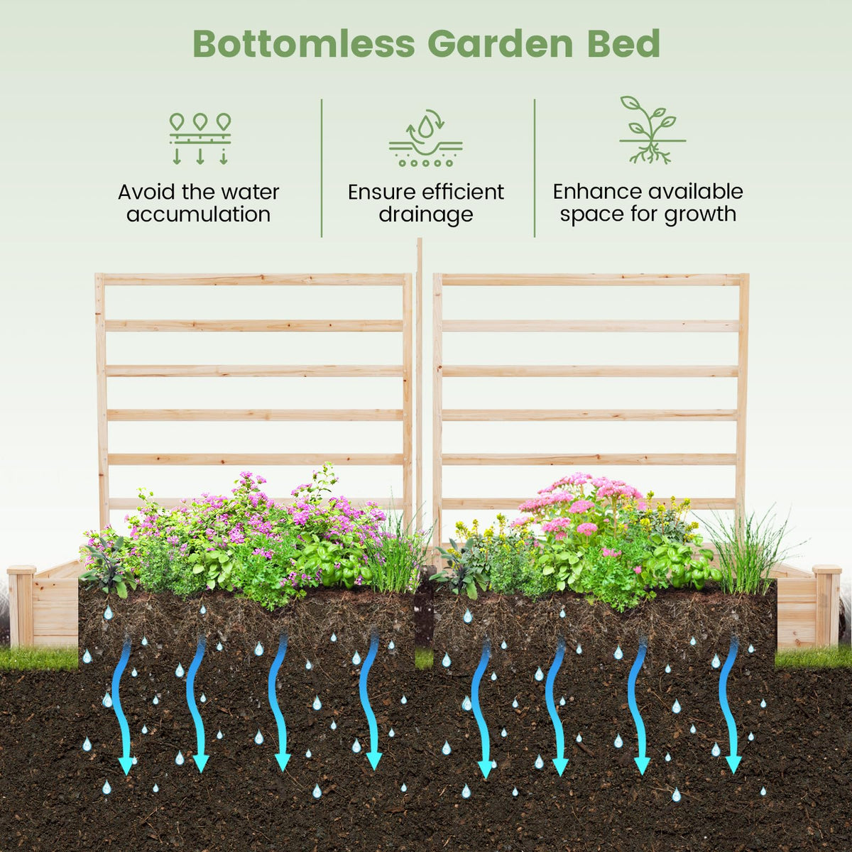 Lucktree Raised Garden Bed with Trellis